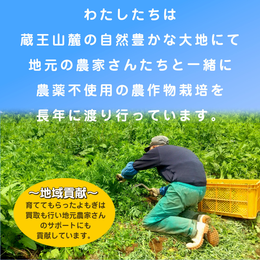 yo.. paste freezing ...1kgyomogi domestic production pesticide un- use freezing . warehouse . mochi . business use ... mochi ... dango ...... confectionery breadmaking raw materials 