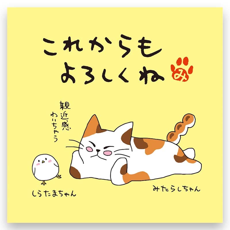 ne. чай hojicha чайный пакетик ( в дальнейшем . с наилучшими пожеланиями .) кошка .... Chan (3. ввод )