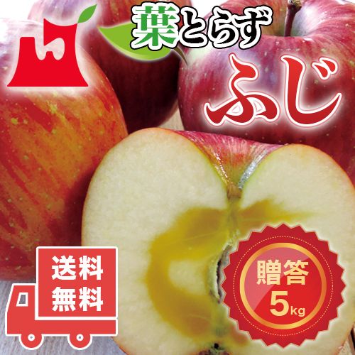  Aomori prefecture production leaf ........ for approximately 5kg ( approximately 14~18 piece ) premium apple gift optimum Aomori production sun ..