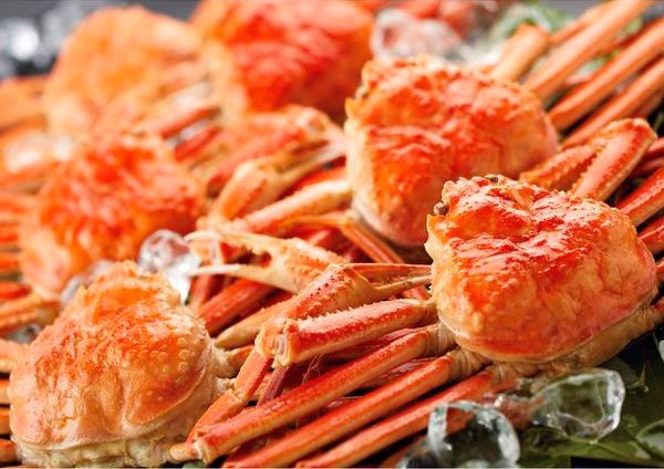 ズワイガニ姿イメージ