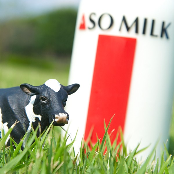  Kumamoto .. milk 800ml(PET). part ranch .. milk ASOMILK three tsu star family all large joy 