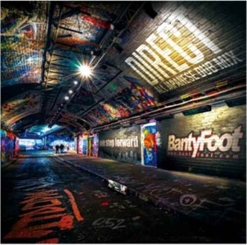 Banty Foot バンティフット ジャパレゲ ジャパニーズ レゲエ Direct -All Japanese Dub Plate Mix- / Banty Foot