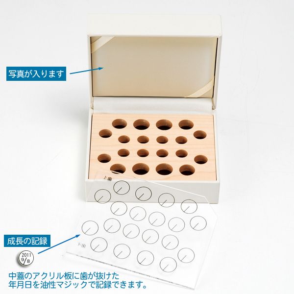  бесплатная доставка TEETH BOX(. зуб кейс ) чёрный . главный лакировка .(..) сделано в Японии местного производства 
