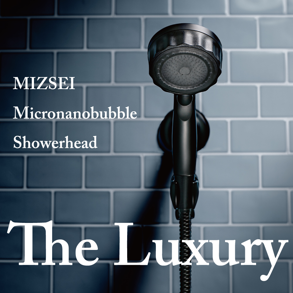 水生活製作所 MIZSEI ミストップ・リッチシャワー SH221B-2T（マットブラック） シャワーヘッドの商品画像
