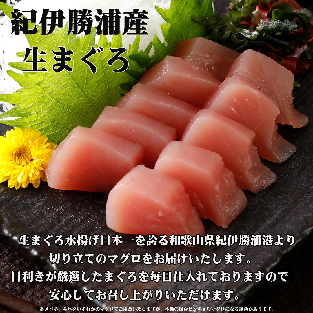o structure .. sashimi tanzaku 8 kind set 5~6 portion free shipping peak join . sashimi cut . only tuna sea bream bastard halibut campag chi salmon salted salmon roe squid Sazae 