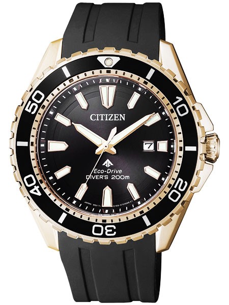 プロマスター MARINE エコ・ドライブ ダイバー 200m BN0193-17E