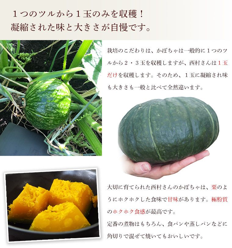  pesticide chemistry fertilizer un- use * Kagoshima prefecture production pumpkin (.....,...., glace,......, other )5kg[ limitation 50 box free shipping ]