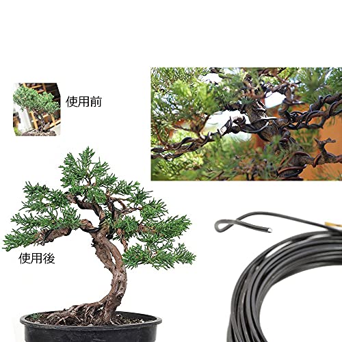 ZADAFINA bonsai for wire 3 piece set gardening for aluminium line gardening wire art craft soft wire .. Unity kitchen garden aluminium line 1mm/1.