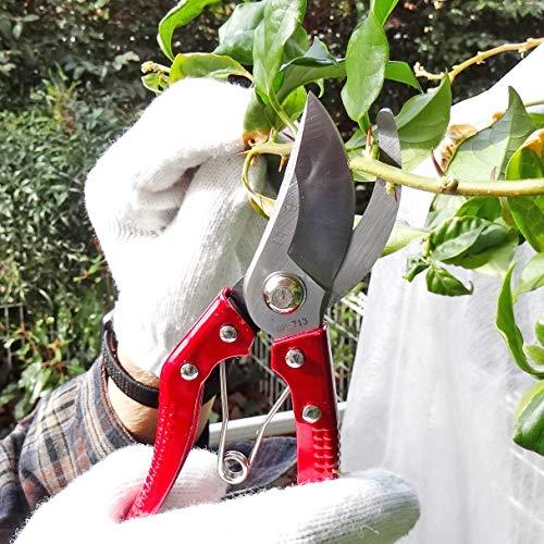 [gdo Company ] scissors for gardening ( exclusive use case attaching ) total length 200mm cutting ability 15mm pruning . gardening for natural flower fruit tree scissors tongs gardening supplies farm work 