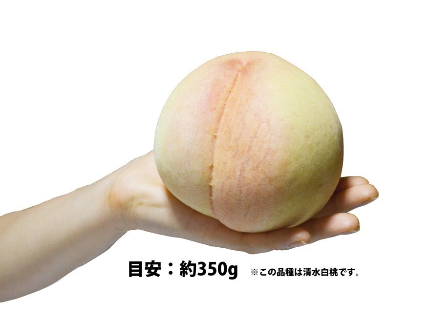  Momo goods kind leaving a decision to someone else 2kg box use peach star agriculture .. home use 6 month last third from sequential shipping free shipping agriculture house direct delivery oh river. peach GI designation one box limited sale 