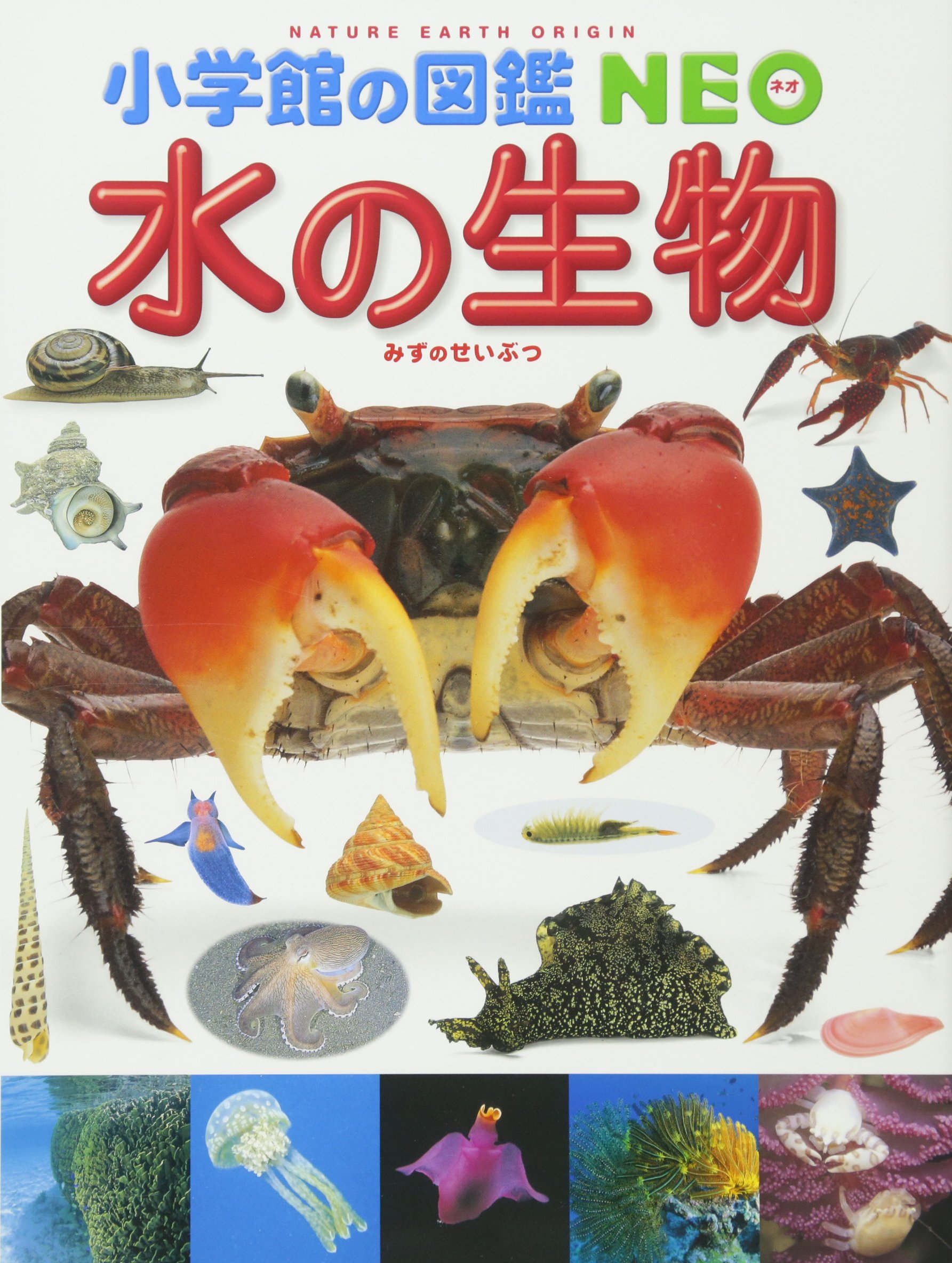  Shogakukan Inc.. иллюстрированная книга NEO вода. живое существо ( Shogakukan Inc.. иллюстрированная книга *NEO 7)