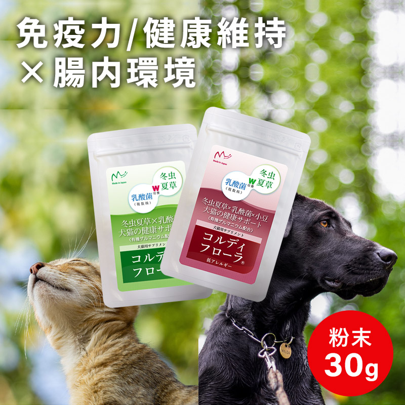  dog cat pet supplement dog for supplement cat for sinia exemption . power maintenance up . acid .... domestic production winter insect summer .<ko Rudy flora | low allergy 30g> mail service free 