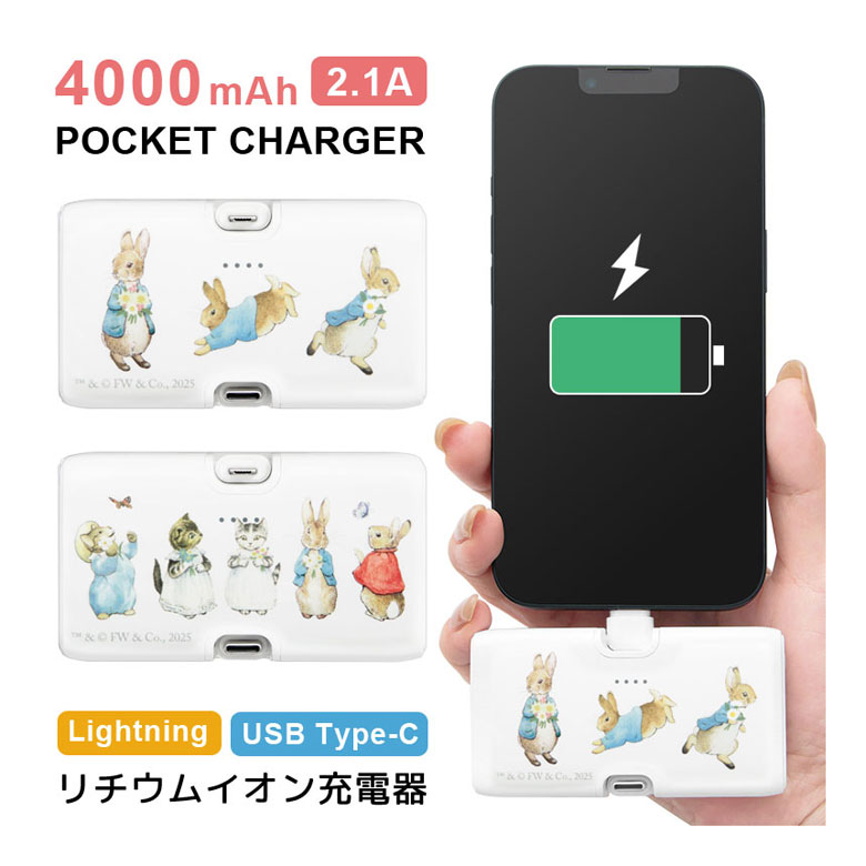  мобильный аккумулятор легкий iPhone Peter Rabbit 4000mAh Lightning USB Type-C зарядное устройство 2.1A прямой .. маленький размер pr-115