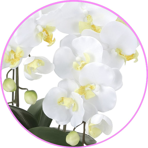  фотокаталитический . бабочка орхидея ( искусственный цветок. . бабочка орхидея ). бабочка орхидея se lease W ( открытие *..* открытие праздник для ),....* условия есть 