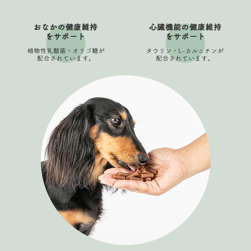  местного производства HappyDays OlivePet premium Otti mo для взрослой собаки 100g половина сырой капот gru тонн Friio Lee b масло аллергия взрослый корм для собак Ottimo