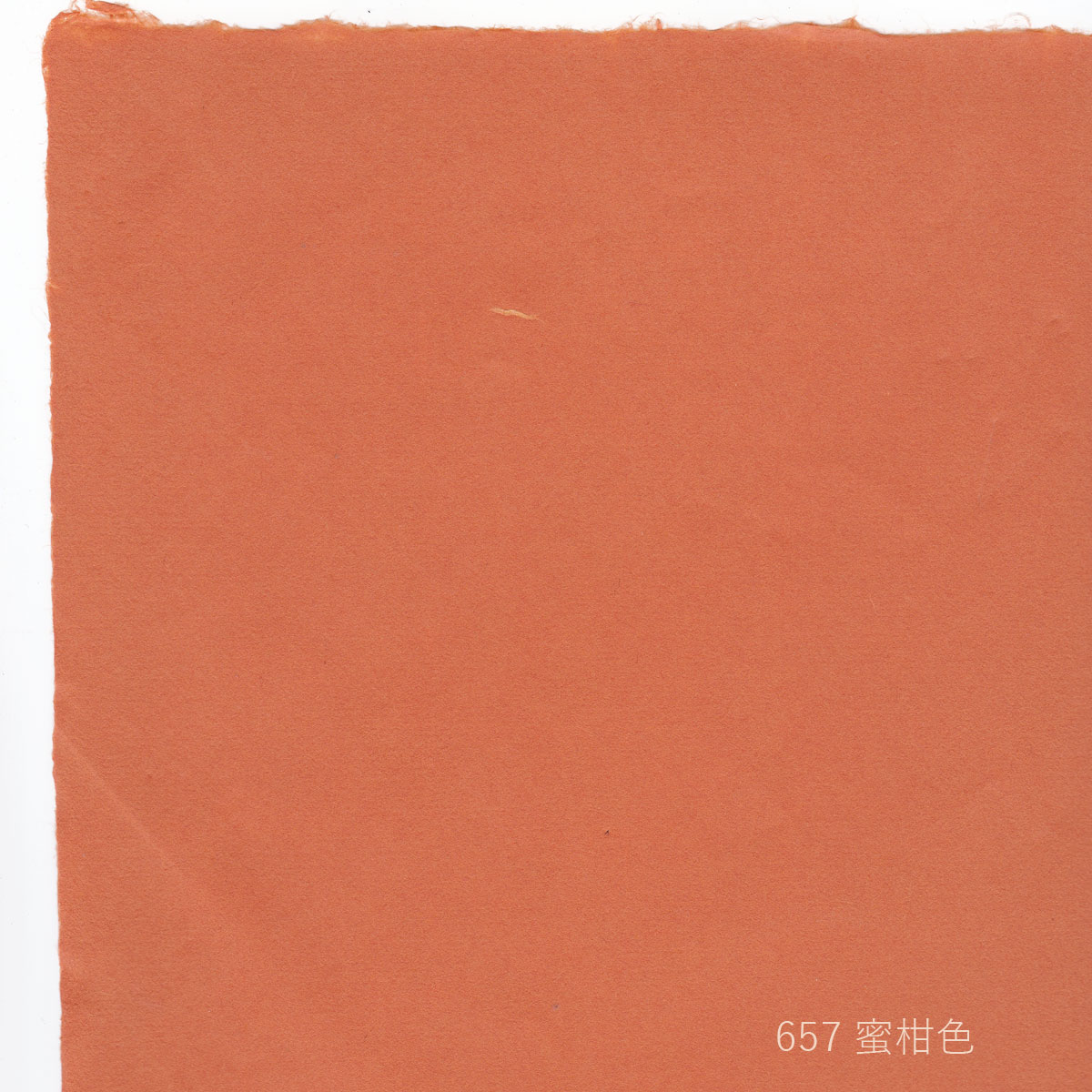 .. paper hand .. Japanese paper japanese tradition color peace. color (. color mandarin orange color meat color white color ). stamp large size 63x93cm