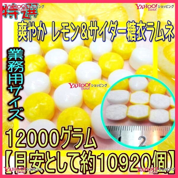 日本全国送料無料 おかし企画 Oe石井 １２０００グラム 目安として約１０９２０個 特選 爽やか レモン サイダー糖衣ラムネ 1袋 税 Fu 最適な材料 Www Muslimaidusa Org