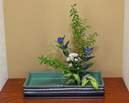  наличие число ограничение Shigaraki . водное сооружение ваза для цветов 20 номер ... средний селадон длина угол керамика Икэнобо .... сырой . цветок . дорога для ваза подарок Shigaraki жарение ....(MR9113-13G)