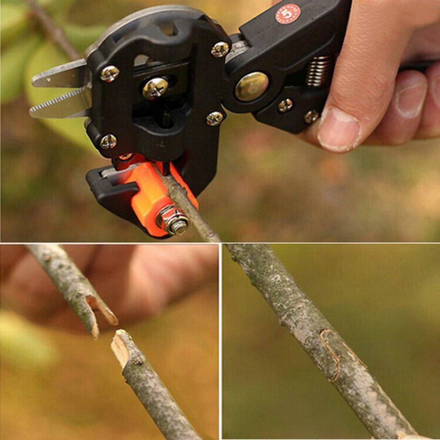  connection . tree pruning scissors professional case attaching gardening pruning . cut . tool set gardening * gardening *..* garden * fruit tree connection . tree * branch connection . transplantation for 