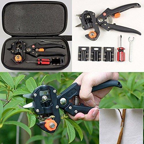  connection . tree pruning scissors professional case attaching gardening pruning . cut . tool set gardening * gardening *..* garden * fruit tree connection . tree * branch connection . transplantation for 