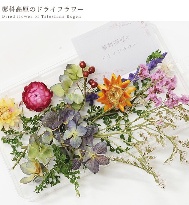 ゆうパケ送料無料 蓼科高原の ドライフラワー ケース入り 国産 押し花 ハーバリウム レジン アクセサリー アロマ ワックスバー サシェ 0372 手作り工房 My Mama Yahoo 店 通販 Yahoo ショッピング