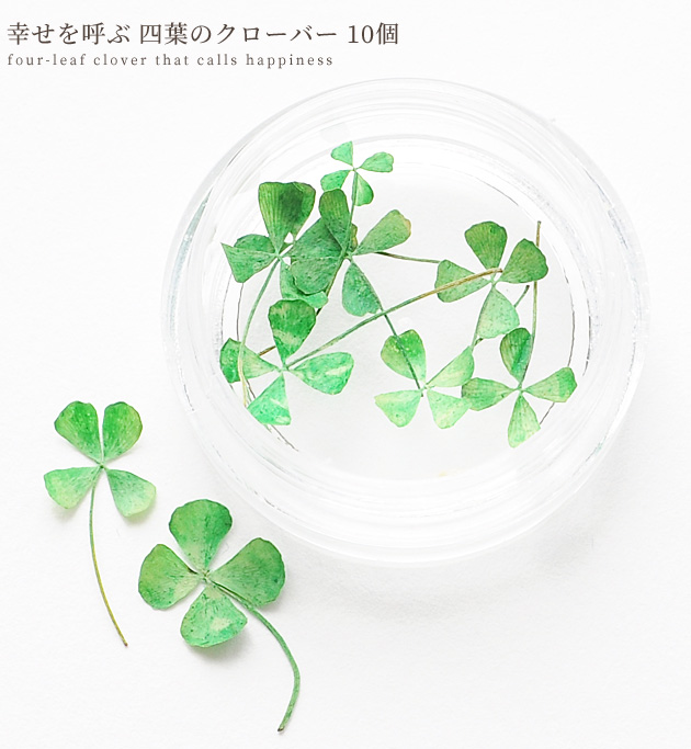 欠品カラー再入荷 プリザーブドフラワー 四つ葉のクローバー 100枚 プリザ ハンドメイド 花材 手作り プレゼント 四葉 四ツ葉 この商品は送料350円でネコポス発送となります 21福袋 Krmobile Eu