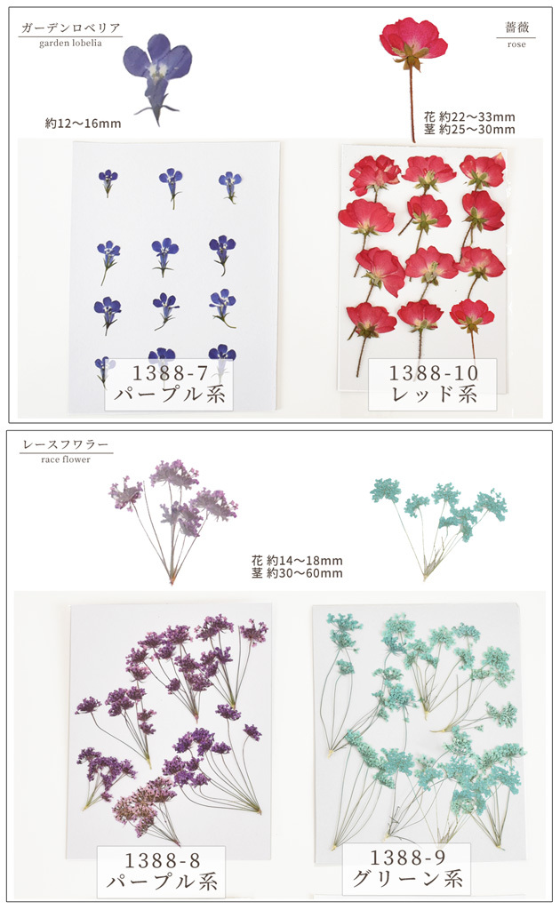  pressed flower 12 sheets /6. all 10 kind # material for flower arrangement herbarium resin UV LED resin fluid mymama myr accessory aroma sachet art flower dry flower #