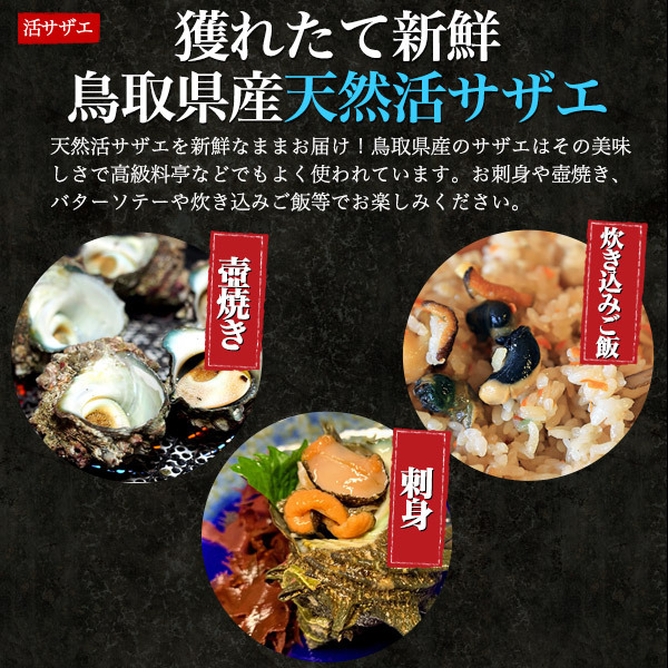  Tottori префектура производство натуральный скала ..+. Sazae всего 2kg натуральный устрица сырая устрица прямая поставка от производителя рефрижератор рейс ваш заказ гурман подарок на Bon Festival подарок 