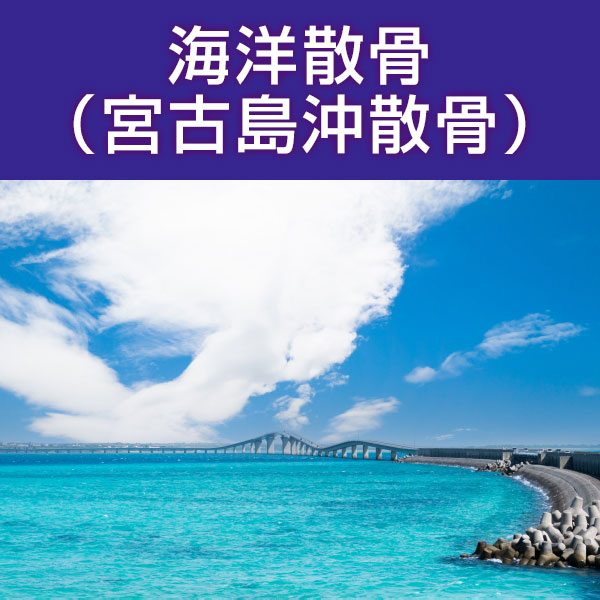  море .... старый остров . Okinawa префектура .. представительство море .. мука .