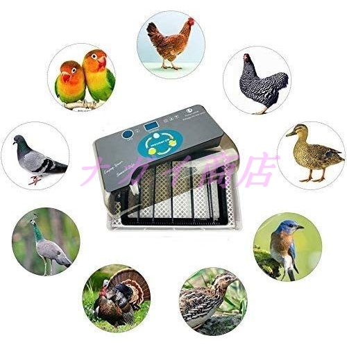  automatic . egg vessel in kyu Beta - birds exclusive use . egg vessel chicken ....uzla... duck automatic rotation egg .. vessel 24 piece insertion egg hi width birth high capacity automatic temperature control . egg vessel attaching humidity guarantee .