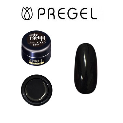 PREGEL プリジェル カラーEX 249 漆黒 4g ネイル用ジェル - 最安値