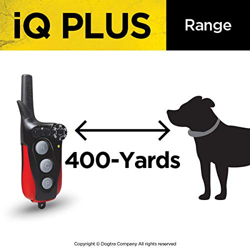 Dogtra IQ Plus+2-Dogs Remote Training System -400 ярд * плита % ( машина машина машина ) водонепроницаемый % ( водонепроницаемый ) % ( зарядка возможна ) % ( машина машина машина ) тихий .% ( машина машина машина ) %