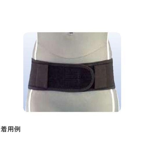 アシスト ツインベルト S 1130 （ブラック）の商品画像