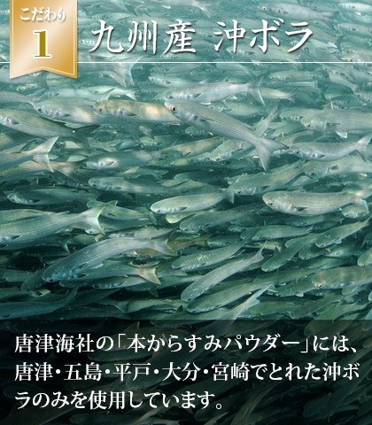 book@ karasumi powder 50g×3.tok.3 sack set 10%OFF cool flight 250 jpy Kyushu Karatsu sea ( from ..) company manufactured high class delicacy 