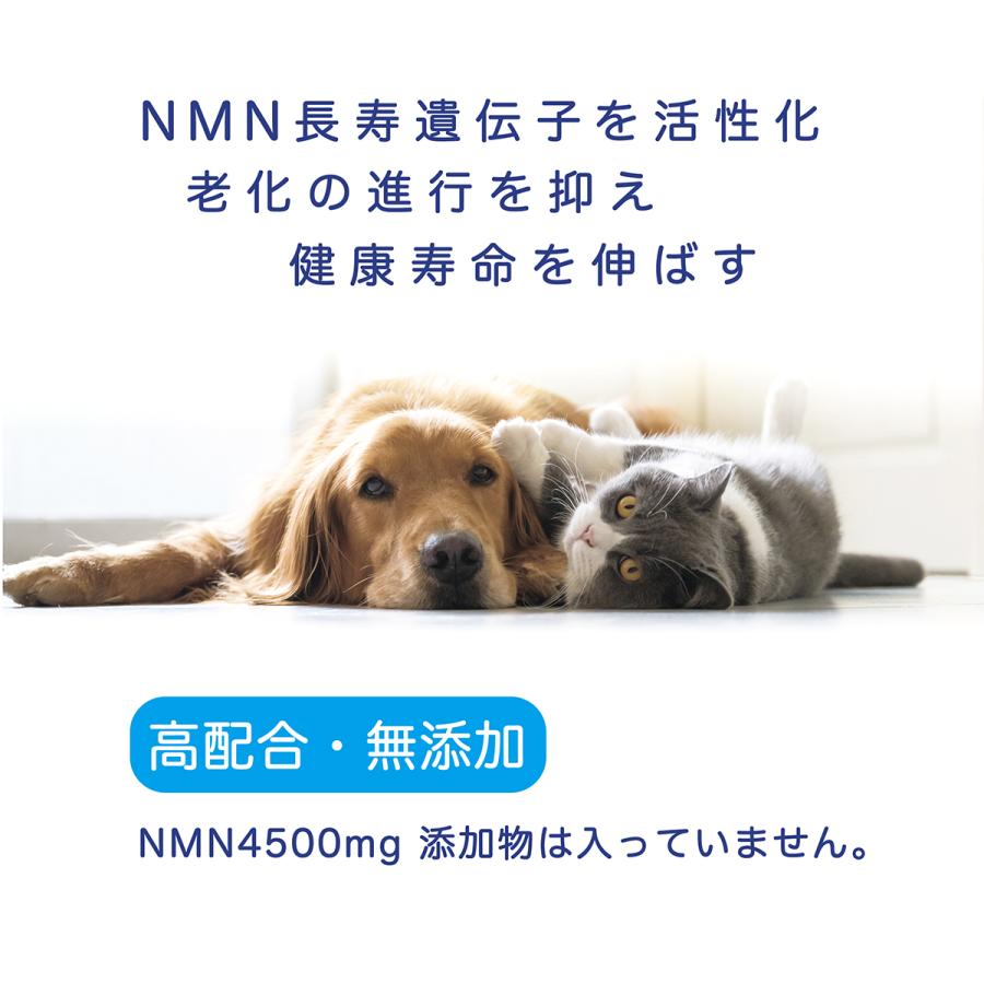  собака для NMN supplement Good!