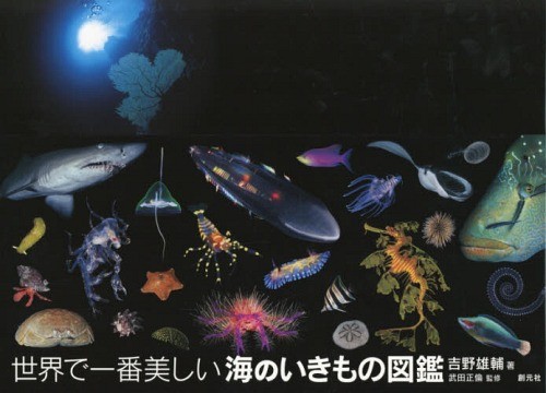 [book@/ magazine ]/ world . most beautiful sea. . kimono illustrated reference book / Yoshino male ./ work Takeda regular ./..