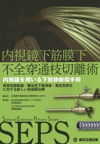 榊原記念病院 低侵襲手術書 高橋幸宏 榊原記念病院低侵襲手術書