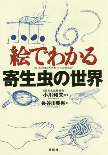 絵でわかる寄生虫の世界 （絵でわかるシリーズ） 長谷川英男／著　小川和夫／監修の商品画像