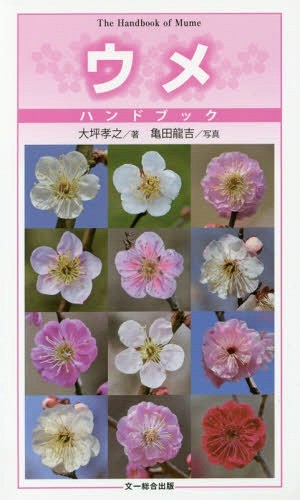 [книга@/ журнал ]/ume рука книжка / большой цубо ../ работа черепаха рисовое поле дракон ./ фотография 
