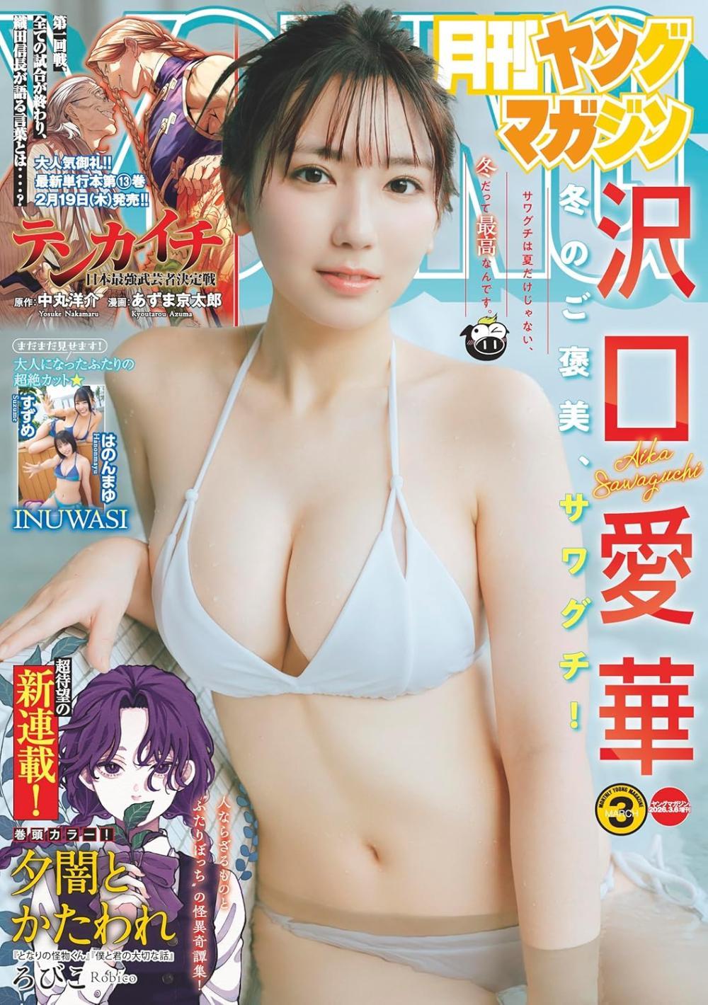 ヤングマガジン増刊 月刊ヤングマガジン 2026年1月号 （講談社