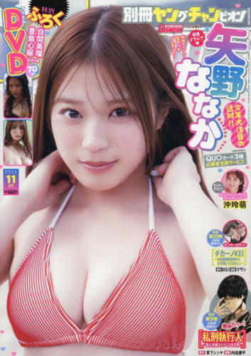 ヤングチャンピオン増刊 別冊ヤングチャンピオン ２０２６年１１月号 （秋田書店）の商品画像