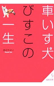  инвалидная коляска собака .. это один сырой | Watanabe Yayoi 