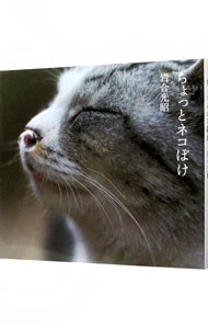 ちょっとネコぼけ 岩合光昭／写真・文の商品画像