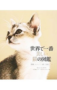 世界で一番美しい猫の図鑑 タムシン・ピッケラル／著　五十嵐友子／訳　アストリッド・ハリソン／写真の商品画像