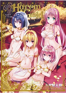 Ｈａｒｅｍ　Ｇｏｌｄ　Ｔｏ　ＬＯＶＥる－とらぶる－ダークネス画集 （愛蔵版コミックス） 矢吹健太朗／著の商品画像