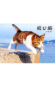 飛び猫 五十嵐健太／著の商品画像