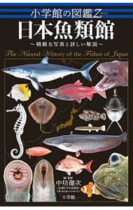 日本魚類館　精緻な写真と詳しい解説 （小学館の図鑑Ｚ） 中坊徹次／編・監修　松沢陽士／ほか写真の商品画像