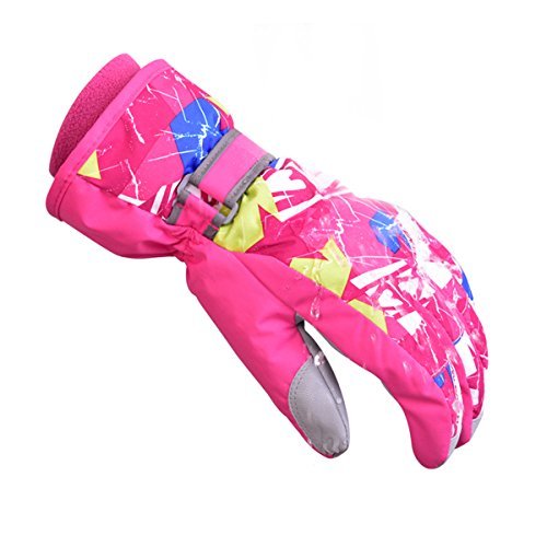 新品 正規品 Accessory Phibee メンズ ピンク カラー L サイズ Us グローブ Www Projectcorfu Com