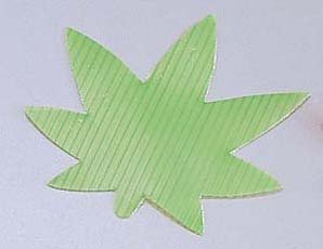  asahi establishment aspidistra . leaf type (1000 pieces set ) green 