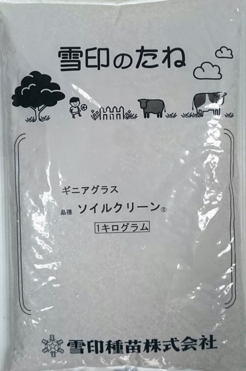  снег печать вид рассада гвинейская трава so il clean 1kg[ экспресс доставка на дом соответствует ]